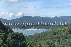 清水湾分层草地花园别墅出售|绿景海景