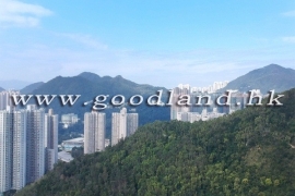 清水湾家庭别墅出售, 出售