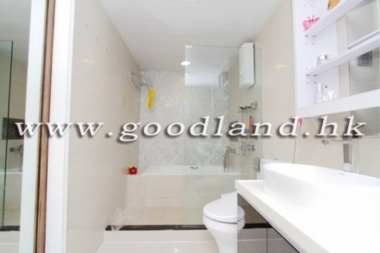 清水湾绿景村屋出售