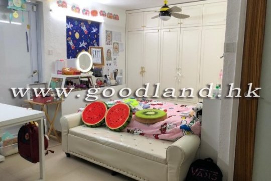 清水湾绿景村屋出售